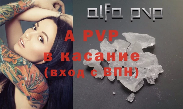 ешки Горняк