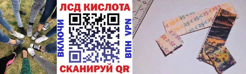 закладки Щёлково это какой сайт Наркотические марки 1500мкг mega ТОР